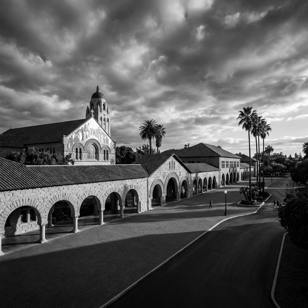 International Year One